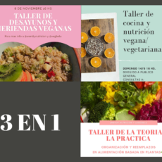 SUPER OFERTA 3 TALLERES!